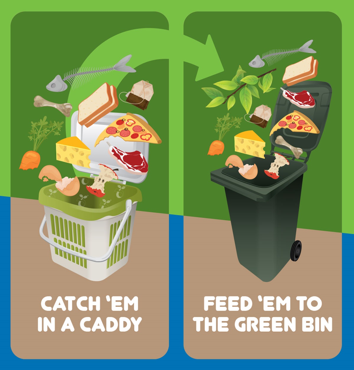 illustration showing food scraps being placed in green bin