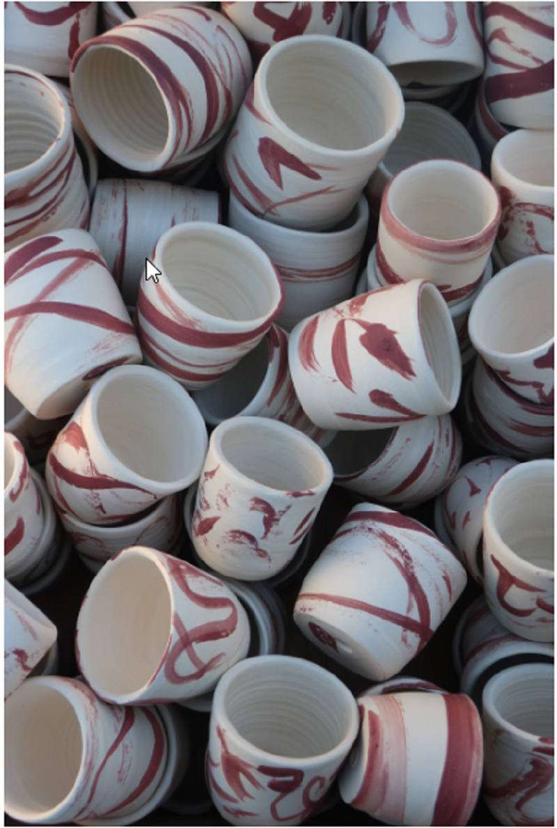 150-seed-pots-for-Unley-green-plots-charmaine-osborne.png
