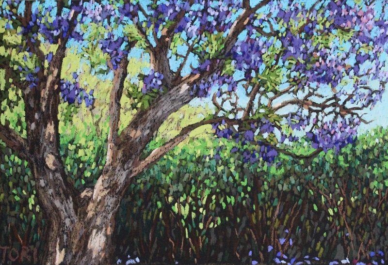 spring-light-victoria-wade.jpg