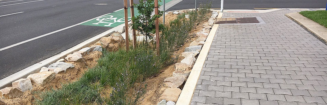 Leader-Streetscape-header.jpg
