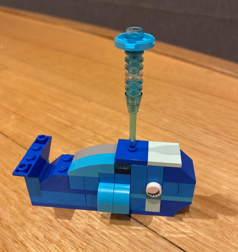 Sleeping blue whale - Amelia age 6