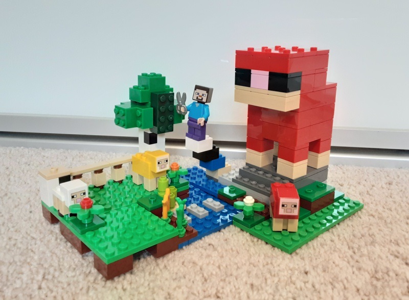 Ethan age 8