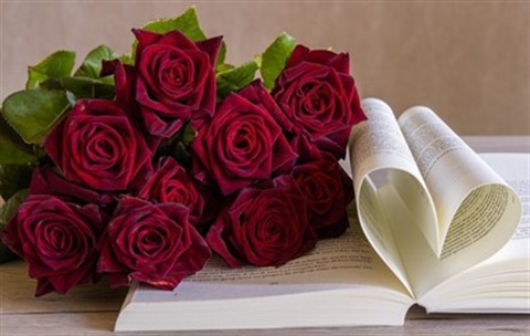 Red roses with book