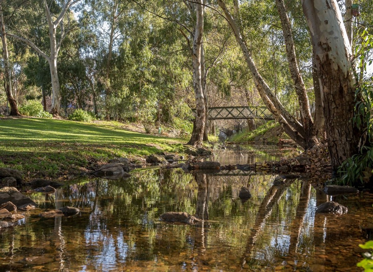 Sick trees removed in Forestville Reserve City of Unley