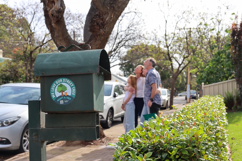 family looking at street tree