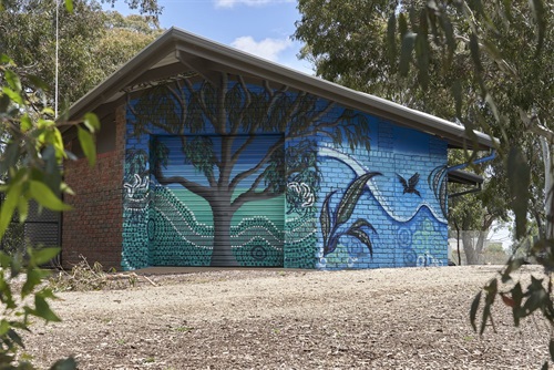 City Of Unley_Mural by Nish_Ridge Park_Oct2021_0001_HiRes.jpg