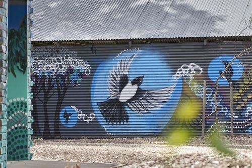City Of Unley_Mural by Nish_Ridge Park_Oct2021_0020_HiRes.jpg