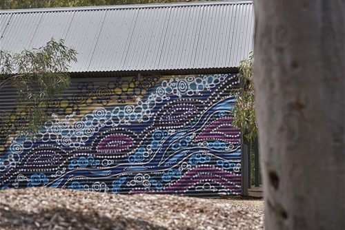 City Of Unley_Mural by Nish_Ridge Park_Oct2021_0023_HiRes.jpg