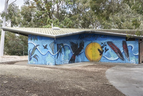 City Of Unley_Mural by Nish_Ridge Park_Oct2021_0055_HiRes.jpg