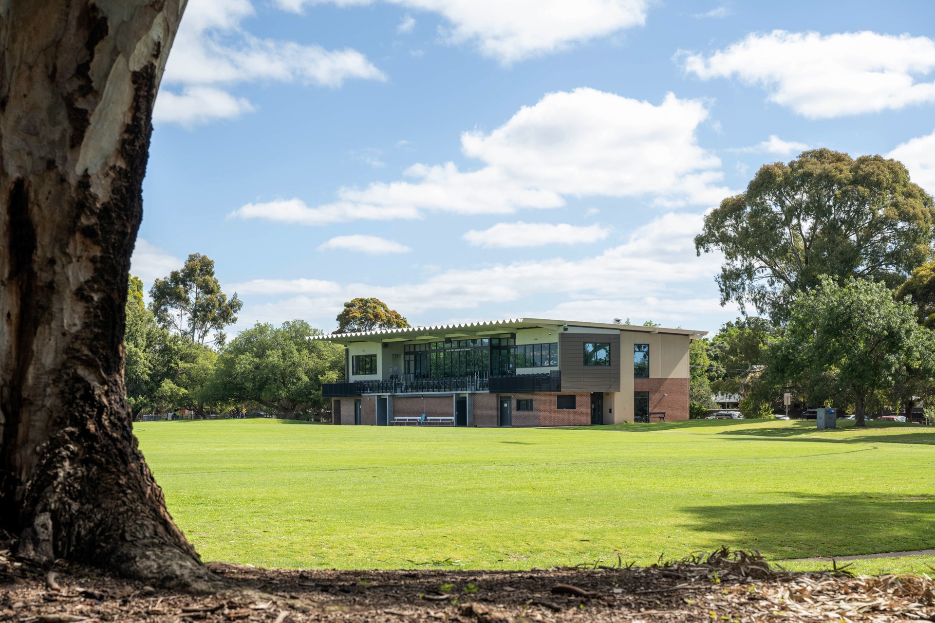 Goodwood oval and grandstand