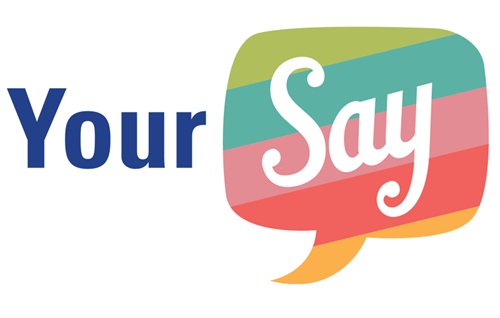 Have Your Say logo.jpg
