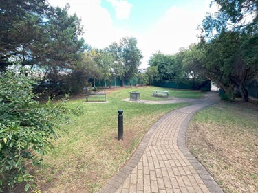 Wayville-Reserve-19.jpg