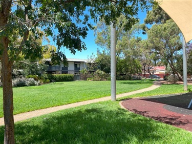 Wayville-Reserve-3.jpg