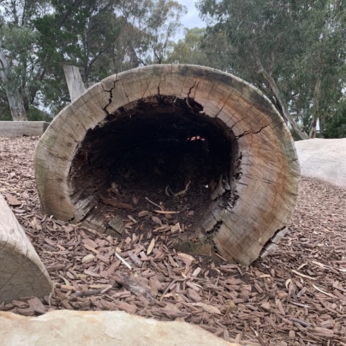 Tree-Hollow.jpg