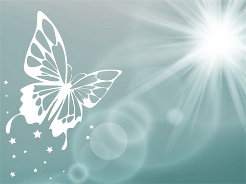butterfly flying toward a bright star