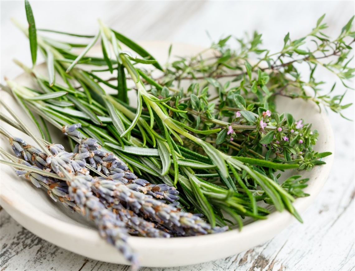 Annual herb day - a bowl of fresh cut herbs