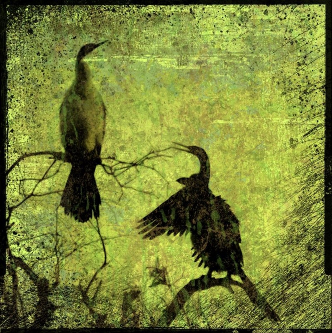 Susan Forby Hughes Gallery