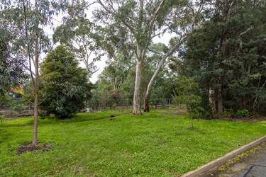 Kings-Park-7.jpg