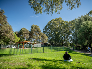Mcleay-2.png