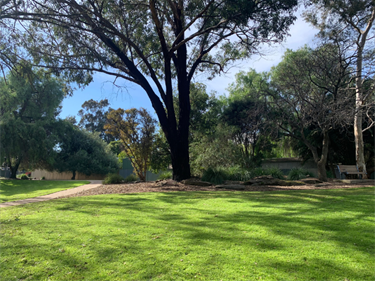 north-unley-1.png