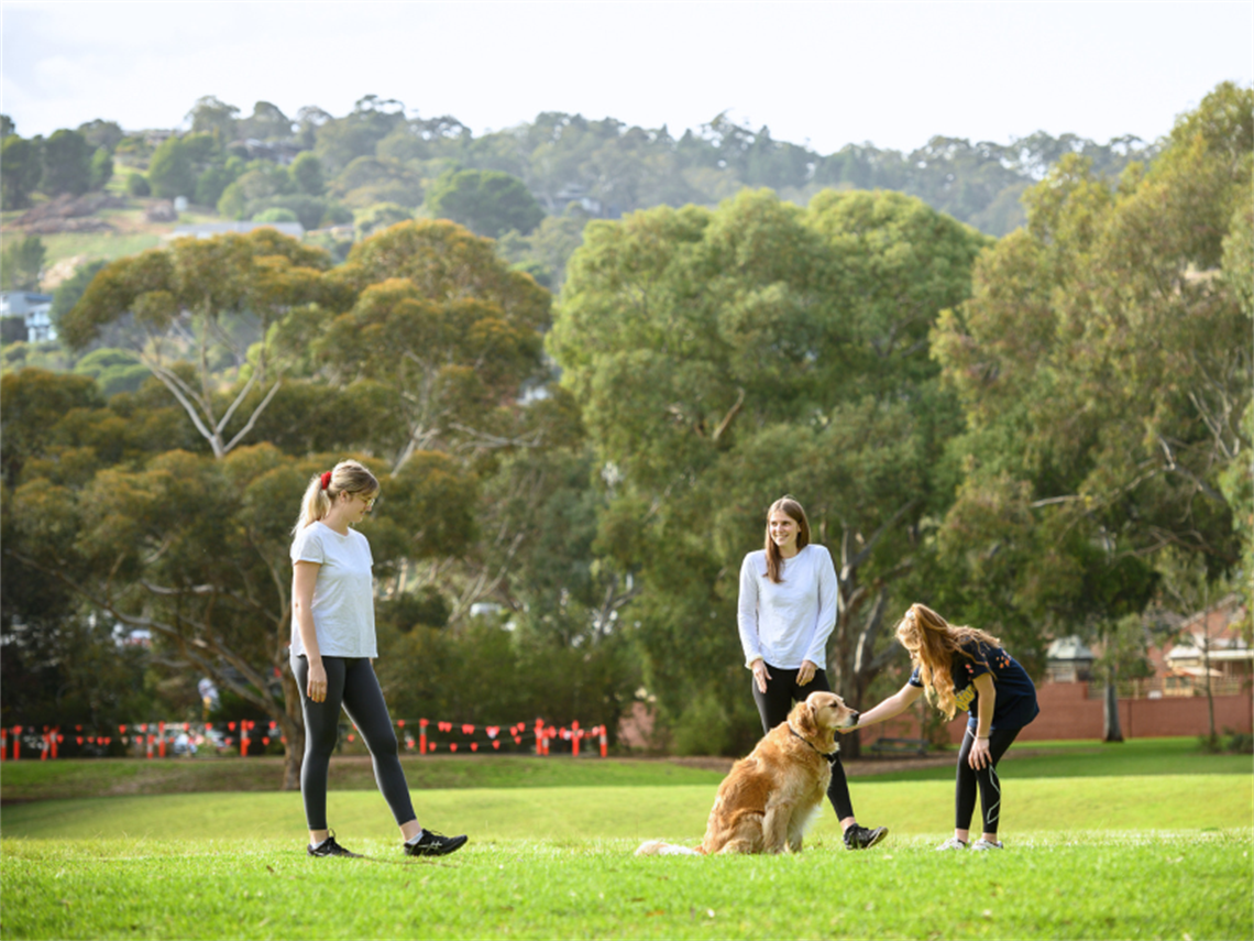 ridge-park-main-image.png