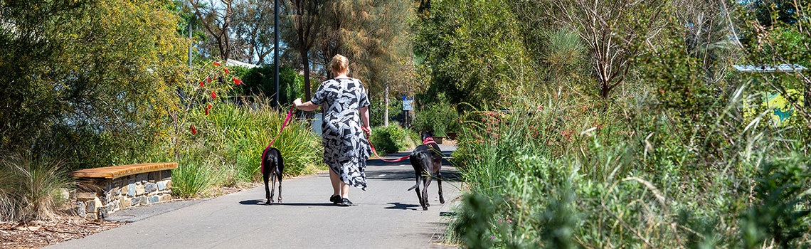 woman walking two dogs along Charles Walk shared path