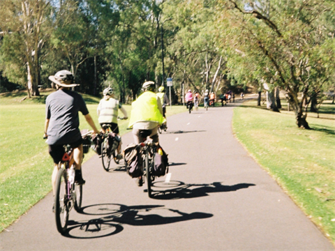 A group of people biking together along a pathway on a sunny day