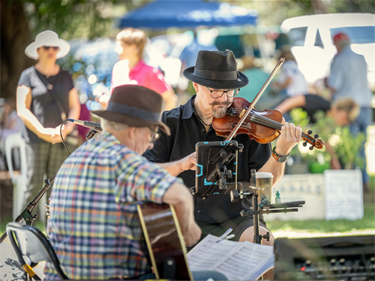 musicians at Spring fling 