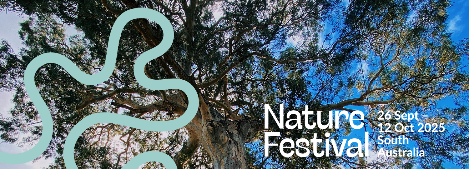Unley Trees Banner NF25