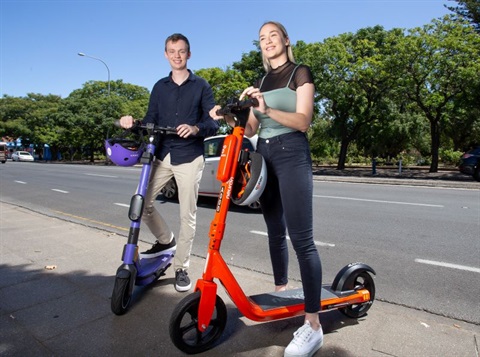 scoot-11-cropped-resized.jpg