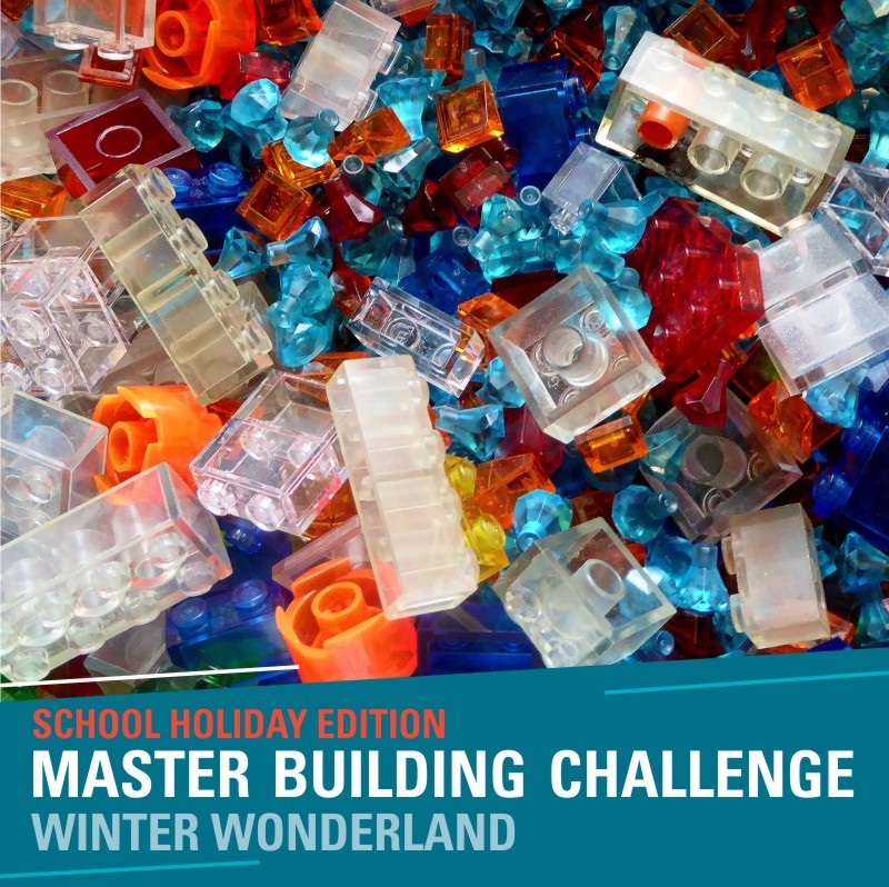 School Holiday Master Building Challenge