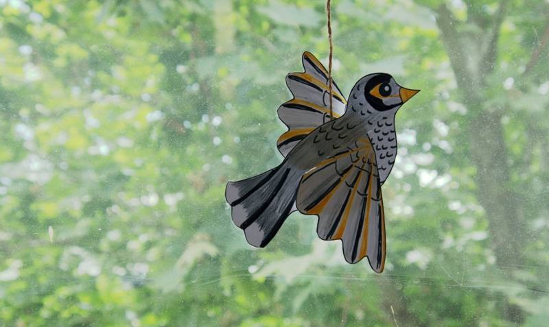 Paper bird craft coloured noisy minor hanging in window