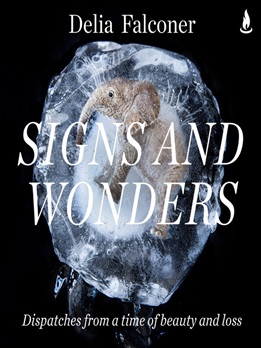 Signs and wonders by Delia Falconer