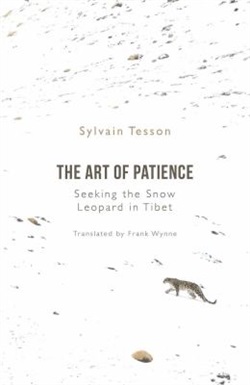 The art of patience by Sylvain Tesson