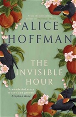 The invisible hour by Alice Hoffman