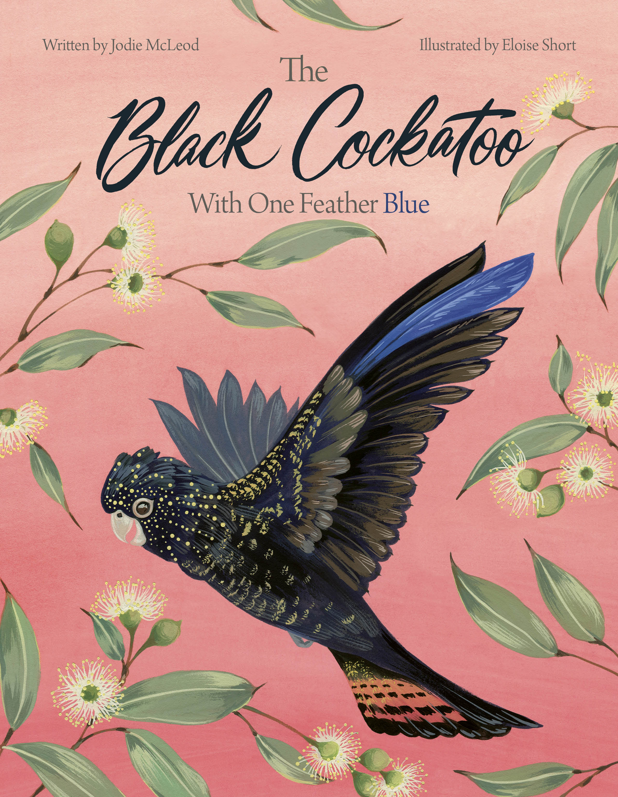 The black cockatoo with one feather blue.jpg