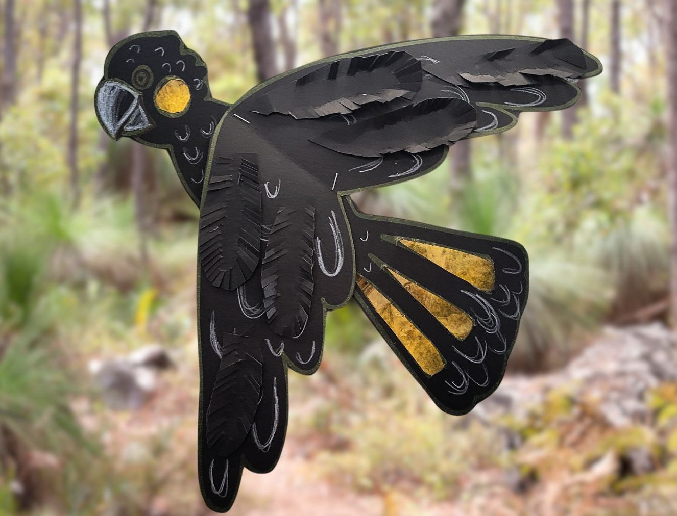Picture of cardboard bird black cockatoo in front of Australian bush background