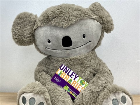 Unley Toy Libraries Stories