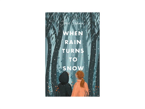 When Rain Turns to Snow by Jane Godwin