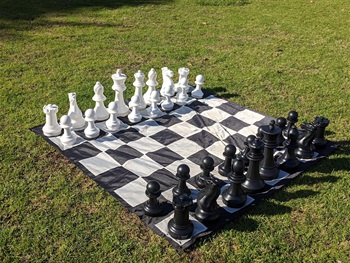 Giant chess