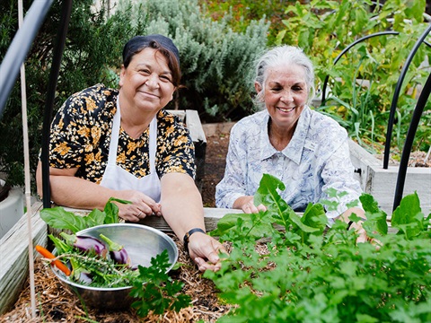 Circuit Cafe staff in the produce garden at Unley Community Centre