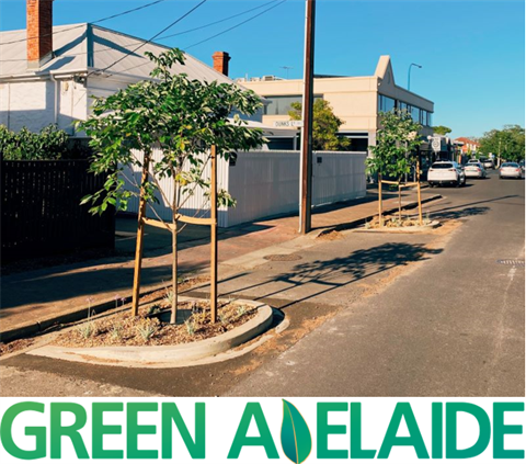 Green-Adelaide-with-pic.png