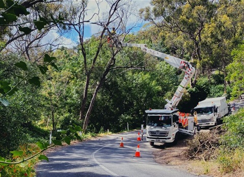 Tree-maintenance-2-crop-resized.jpg