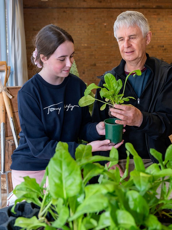 Man and young girl re-potting seedling plants