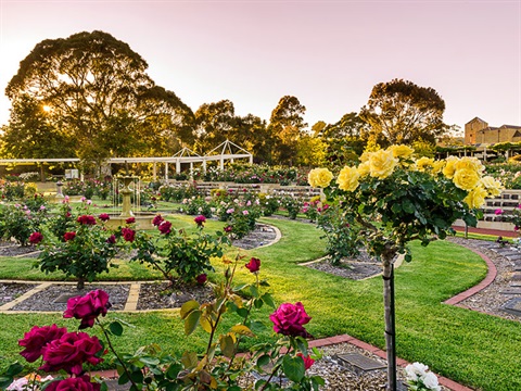 Centennial Park Charles Newman Commemorative Garden