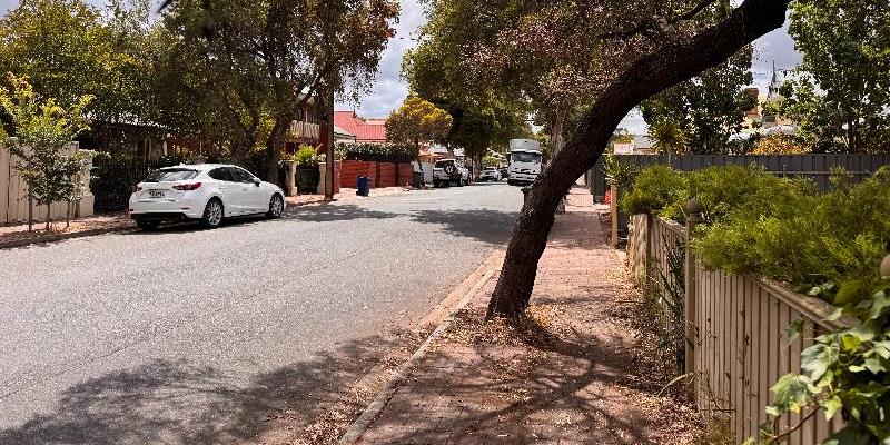 Tree leaning on footpath