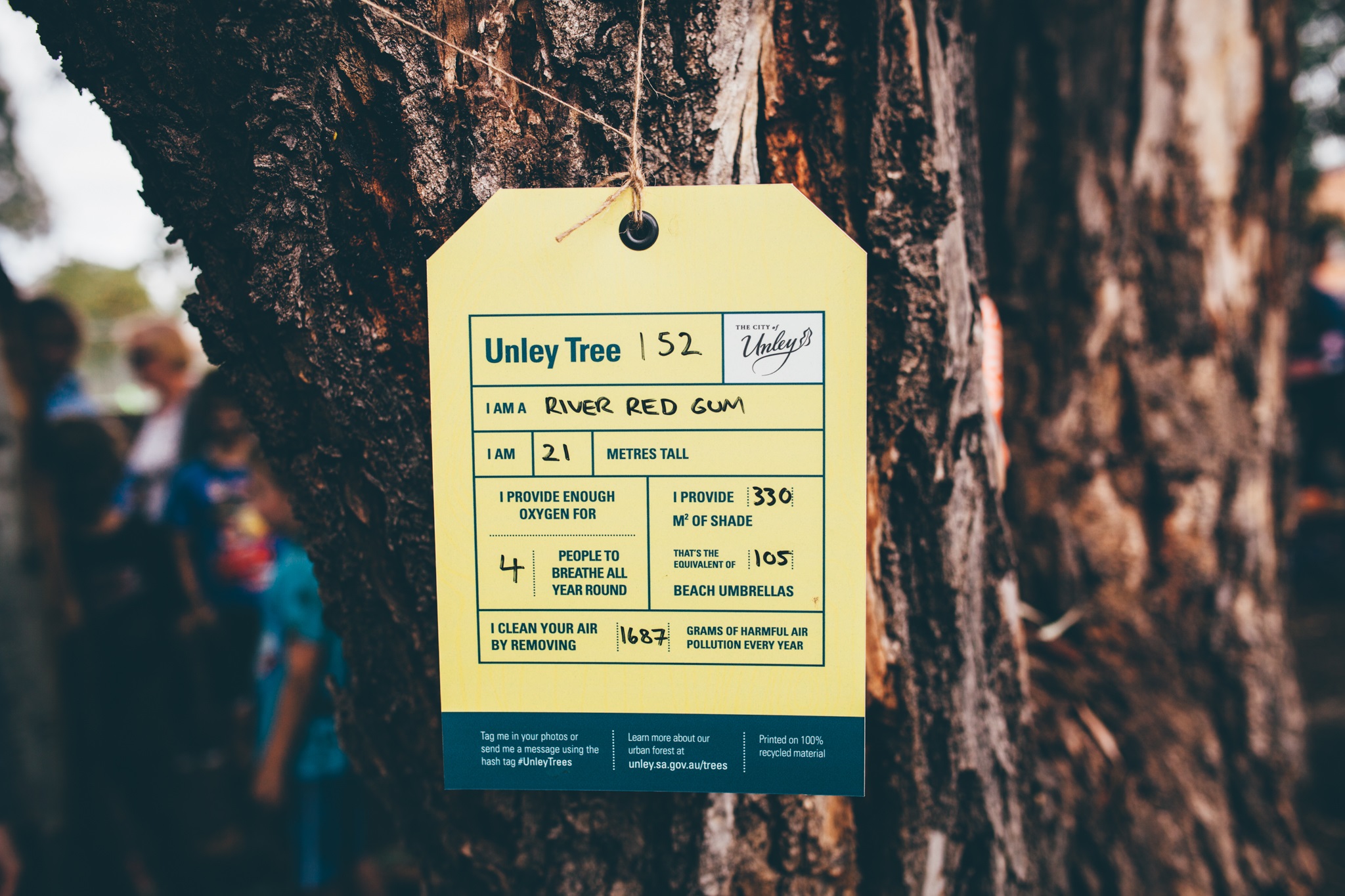 Tree Tag Unley.jpg